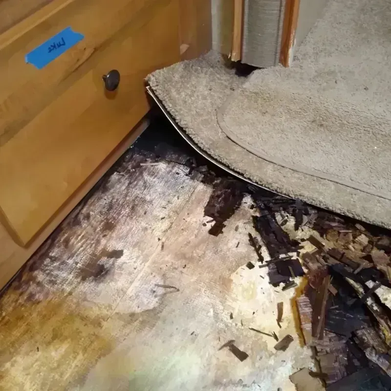 Wood Floor Water Damage in New Ulm, MN